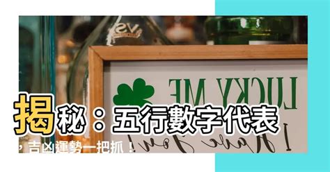 鳥代表數字 61年次五行